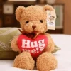 Ours en peluche avec message « Hug me »
