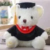Ours en peluche diplômé