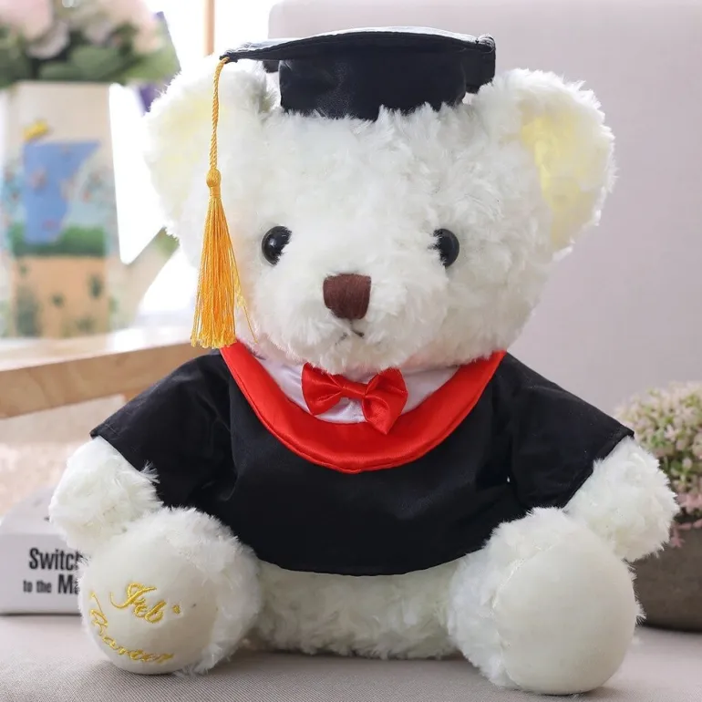 Ours en peluche diplômé