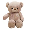 Ours en peluche gros et marron