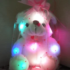 Ours en peluche lumineux