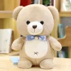 Ours en peluche teddy bear